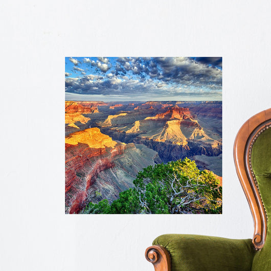 Morning Light Grand Canyon