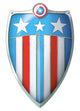 Coat of Arms of Captain America Shield Wall Decal