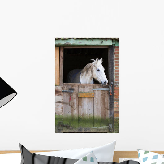 Horse in Stable Wall Mural