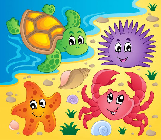 Beach with Shells and