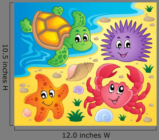 Beach with Shells and