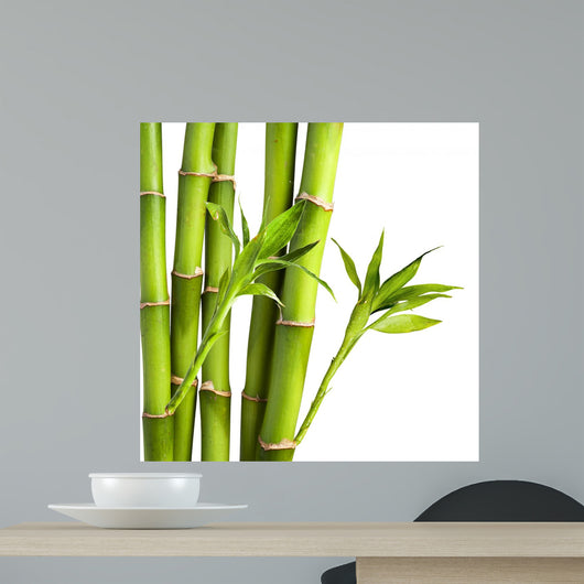 Bamboo and Bamboo Leaf
