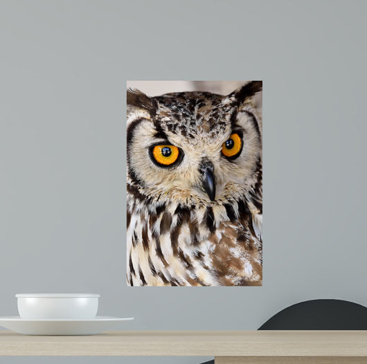 Brown and White Owl Wall Mural