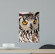 Brown and White Owl Wall Mural