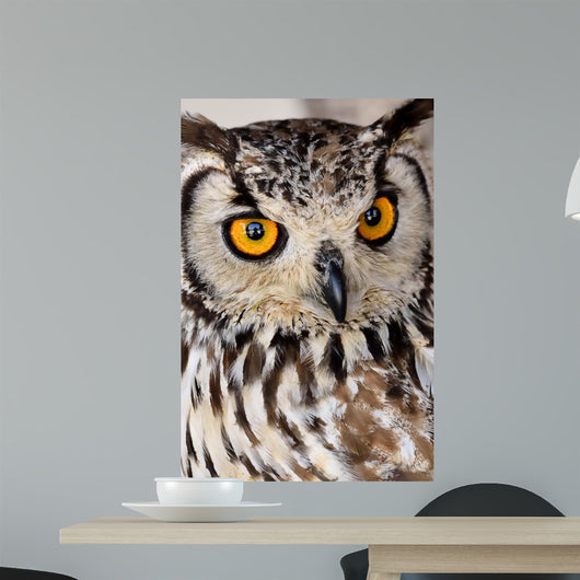 Brown and White Owl Wall Mural