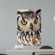 Brown and White Owl Wall Mural