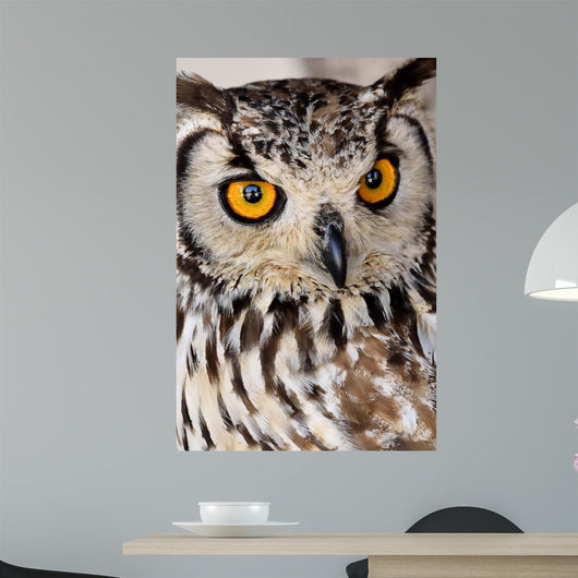 Brown and White Owl Wall Mural