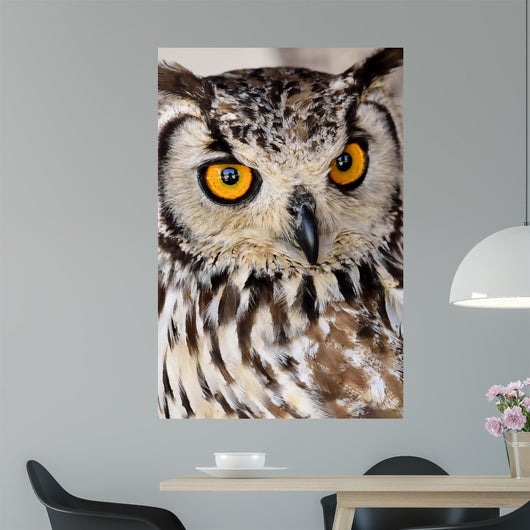 Brown and White Owl Wall Mural