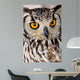 Brown and White Owl Wall Mural