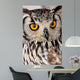 Brown and White Owl Wall Mural