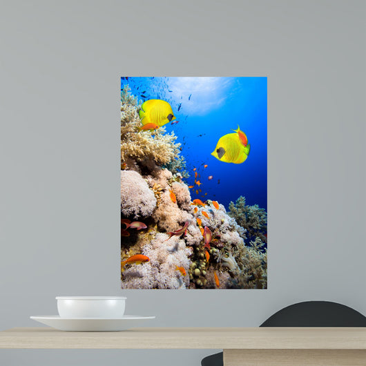 Coral Reef and Masked