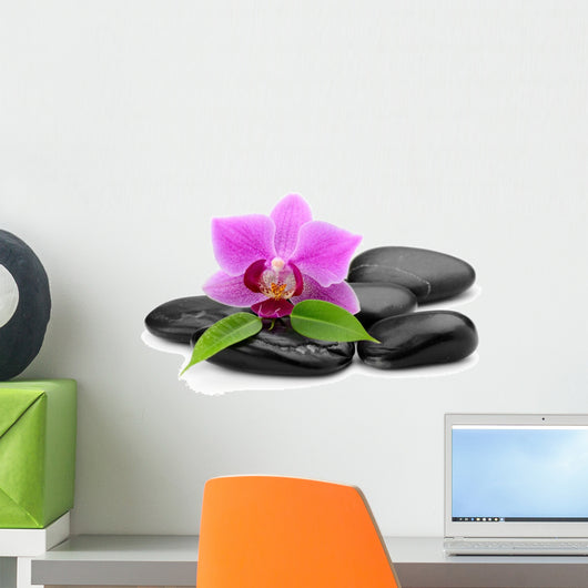 Orchid