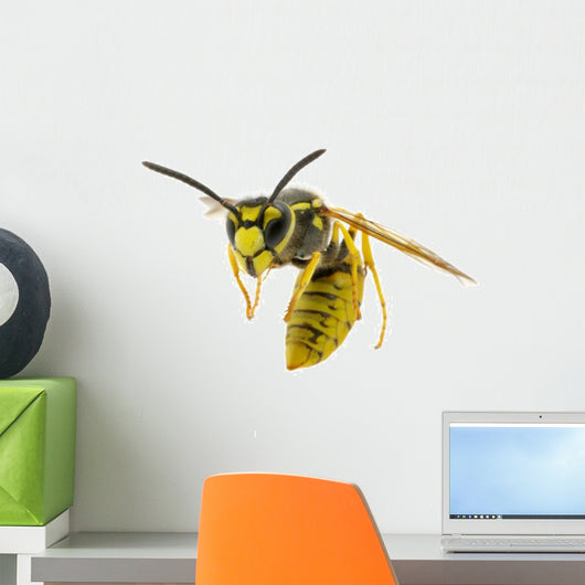 Wasp