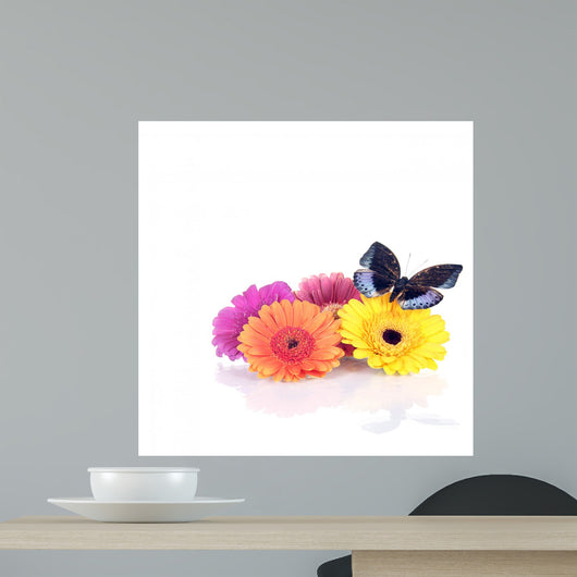 Springsummer Decoration with Gerberas