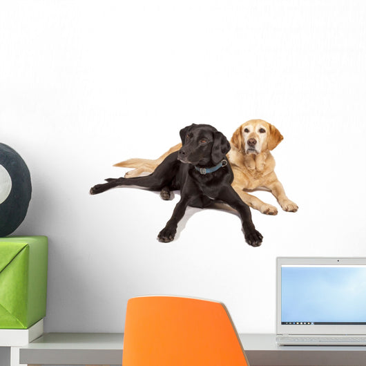 Two Labs