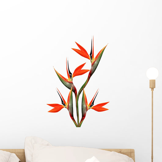 Beautiful Bird Paradise Bouquet