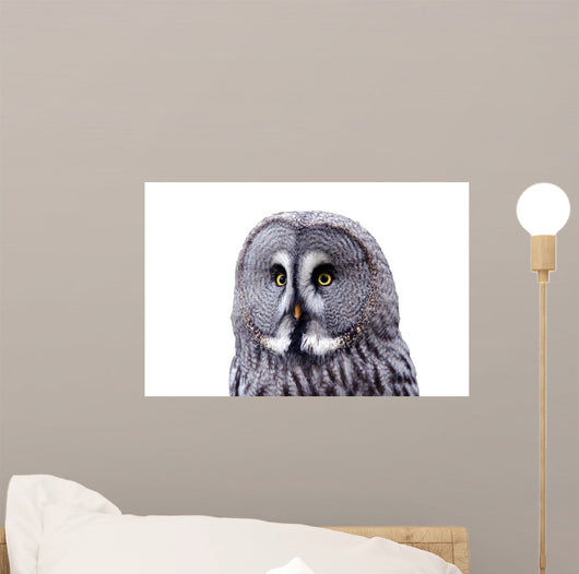Bart Owl Wall Decal