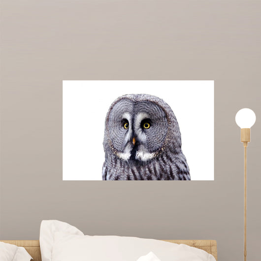 Bart Owl Wall Decal