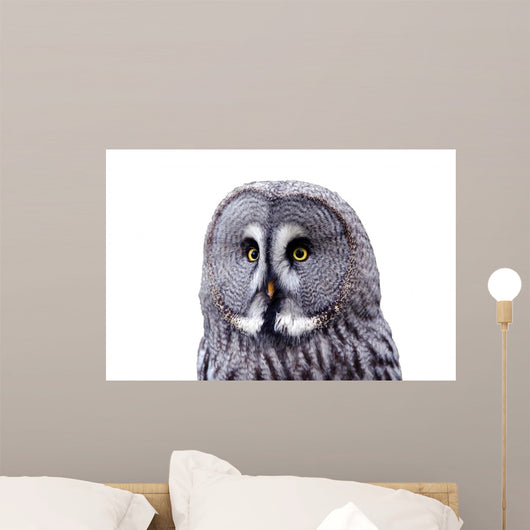 Bart Owl Wall Decal