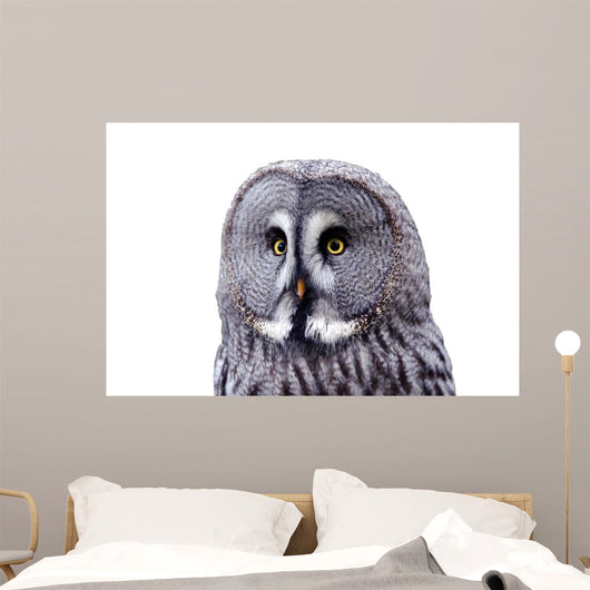 Bart Owl Wall Decal