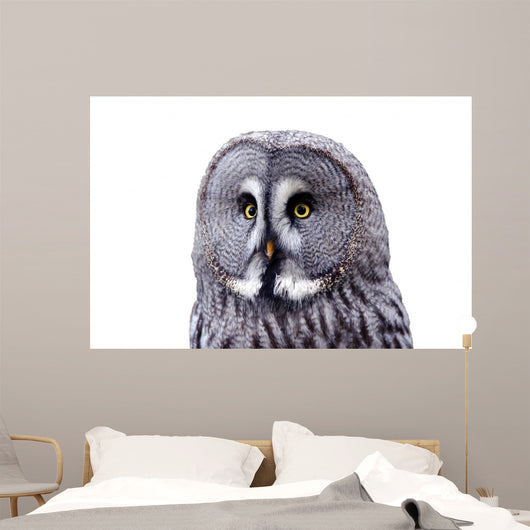 Bart Owl Wall Decal
