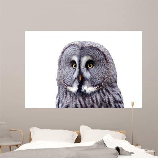 Bart Owl Wall Decal