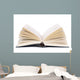 Opened Book