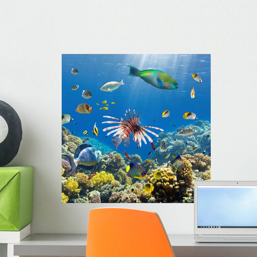 Coral and Fish