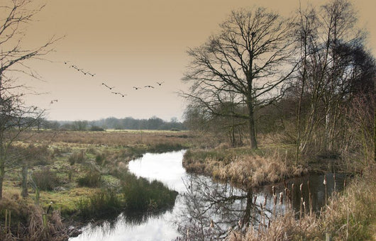 Landscape