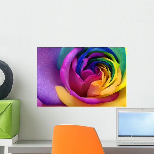 Up Rainbow Rose Heart