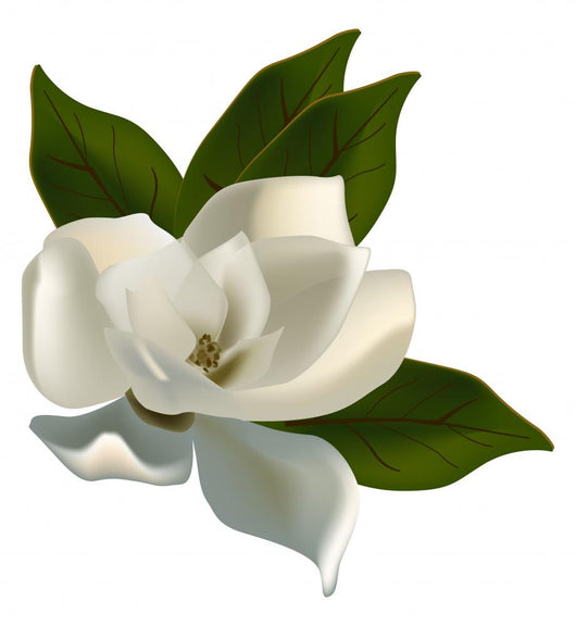 Single Magnolia Flower White Wall Decal