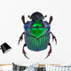 Dung Beetle Oxysternon Conspicillatum