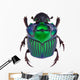 Dung Beetle Oxysternon Conspicillatum