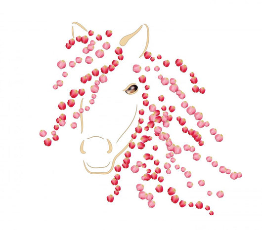 Horse Spring