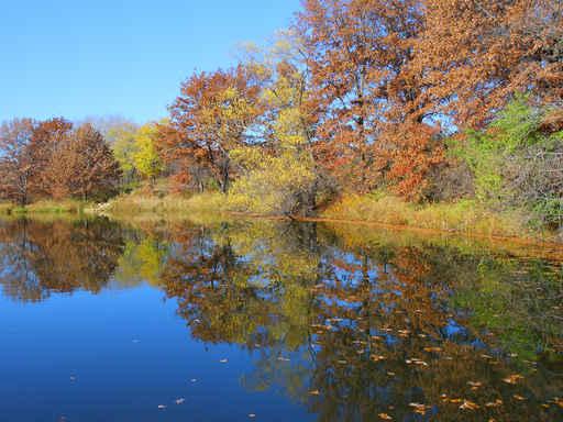 Fall Colors Thomas Lake Wall Decal