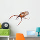 Snout Beetle Wall Decal