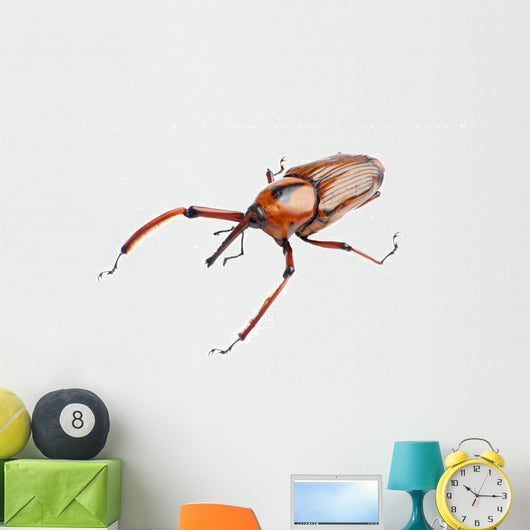 Snout Beetle Wall Decal