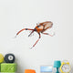Snout Beetle Wall Decal