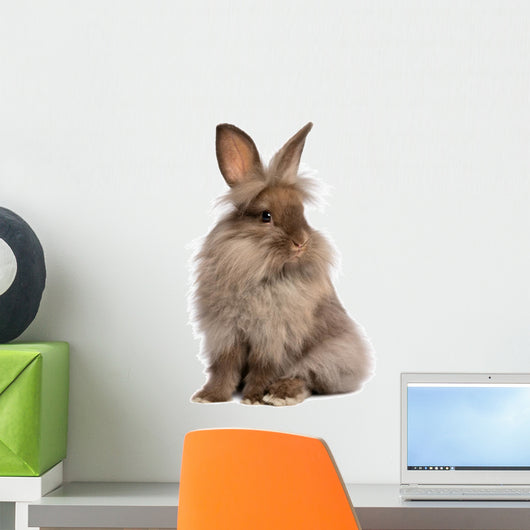 Cute Sitting Chocolate Lionhead