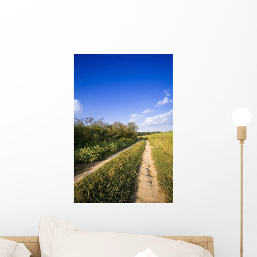 Landscape Wall Mural