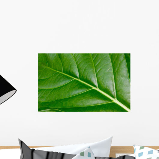 Up Tropical Plant Leaf