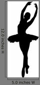 Ballet Dancer