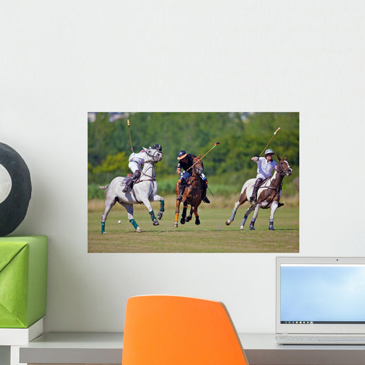 Horse Polo Player