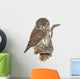 Pygmy Owl Glaucidium Passerinum