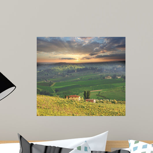 Chianti Famous Vineyard Italy