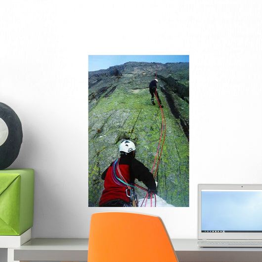 Double Rope Descent Wall Decal