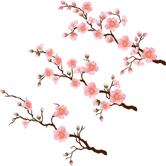 Cherry blossom branch in 3 diferent stages on white Wall Decal