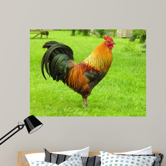 Cockerel Wall Decal
