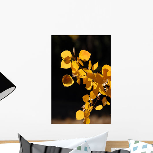 Branch of Yellow Aspen Leaves Wall Mural