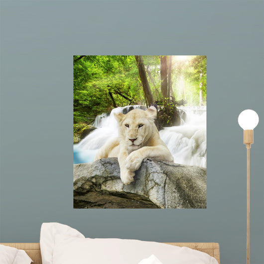 White Lion